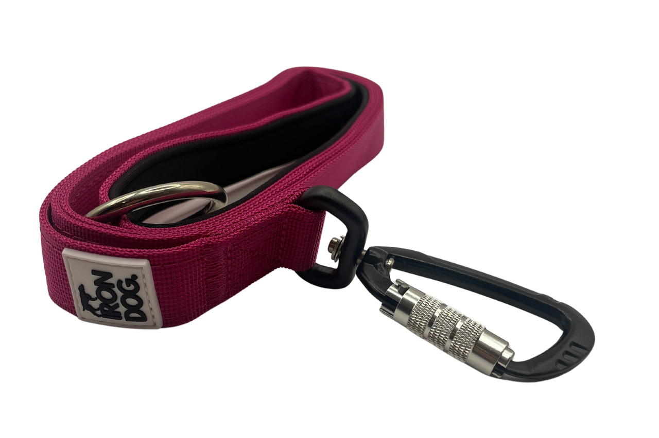 Irondog® Pivot Carabiner Clip Lead – 1.5m