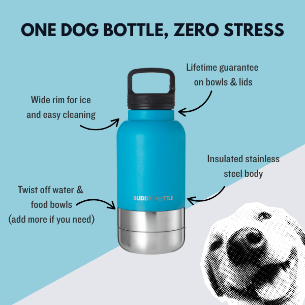 FETCHIN TEAL - 3 in 1 Portable Travel Water Buddy Bottle For Dogs - BUDDYBOTTLE