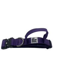 Irondog® Control Collar – 2.5 cm - BUDDYBOTTLE