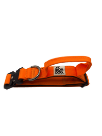 Irondog® Control Collar – 2.5 cm - BUDDYBOTTLE