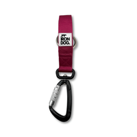 Irondog® Pivot Carabiner Clip Lead – 1.5m - BUDDYBOTTLE