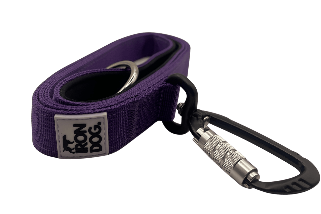 Irondog® Pivot Carabiner Clip Lead – 1.5m - BUDDYBOTTLE