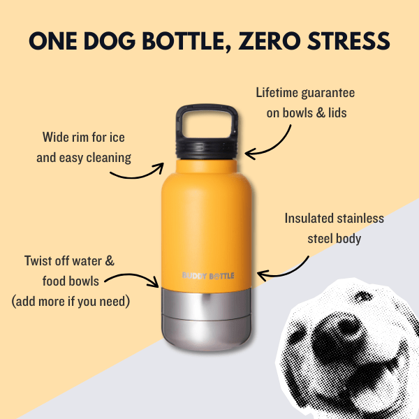 SUNSHINE SIPPER - 3 in 1 Portable Travel Water Buddy Bottle For Dogs - BUDDYBOTTLE