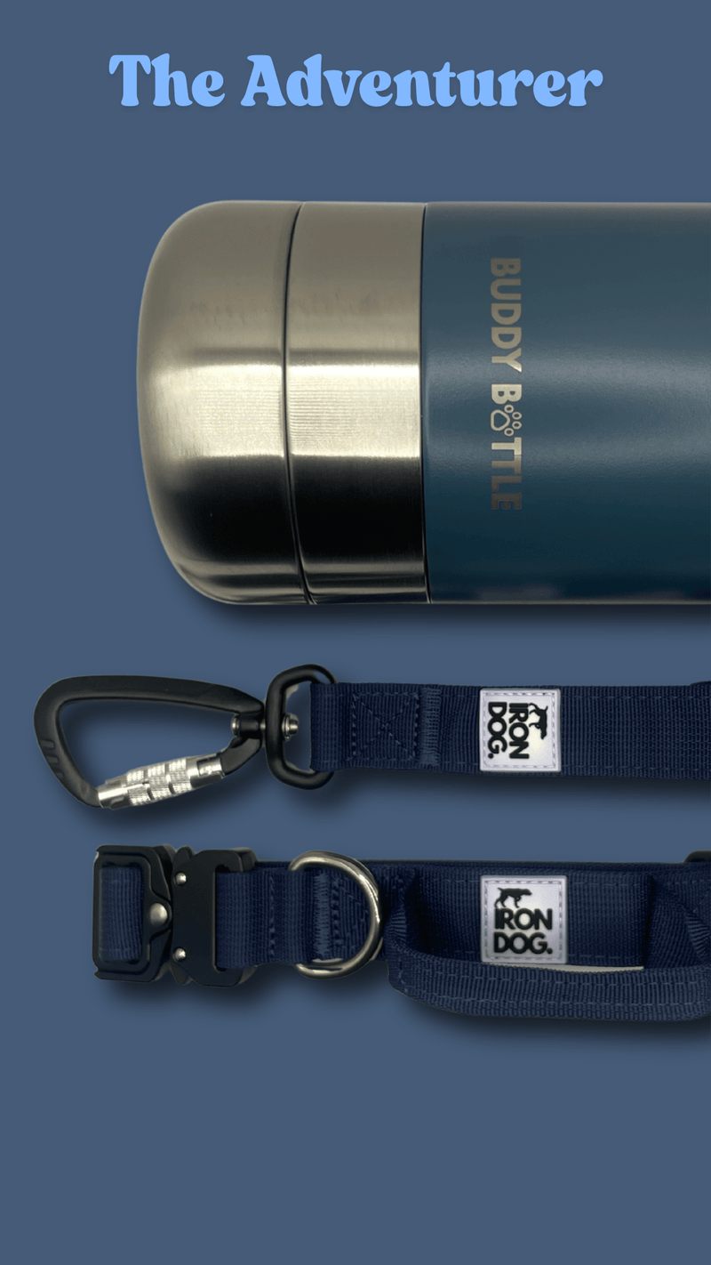 The Adventurer - BUDDYBOTTLE