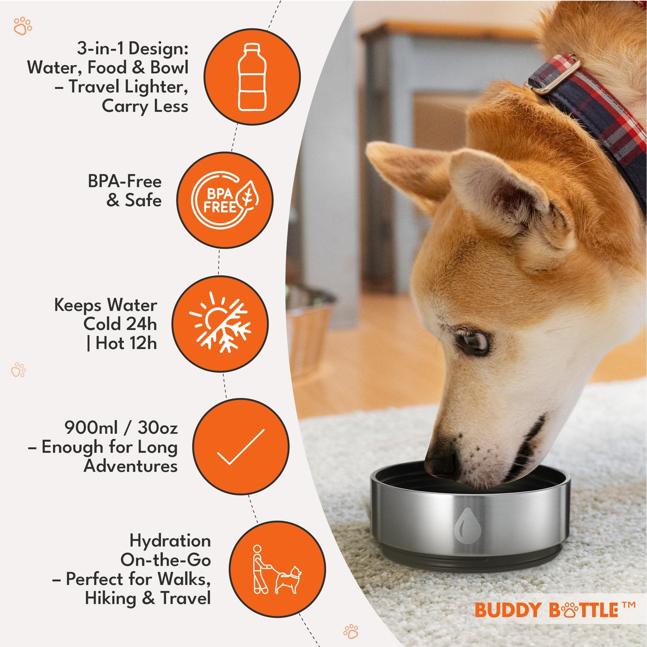 VELVET PURPLE - 3 in 1 Portable Travel Water Buddy Bottle For Dogs - BUDDYBOTTLE