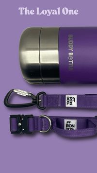 Velvet Purple Set - BUDDYBOTTLE
