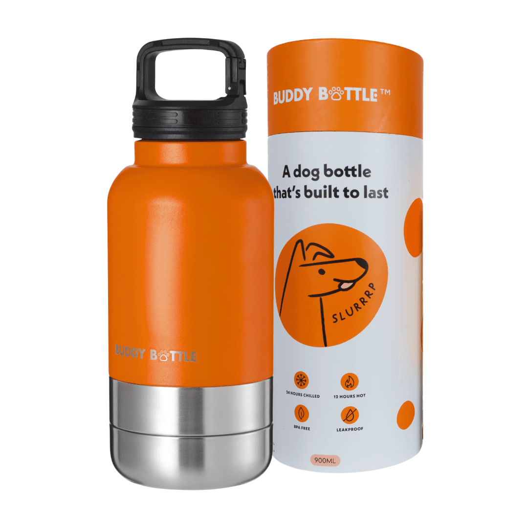 Buddy Bottle™ Premium Dog Water Bottle With Bowls | Leak Proof DryTight™ Lid | Insulated 80% Recycled Stainless Steel