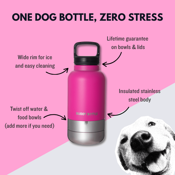 ZOOMIE PINK - 3 in 1 Portable Travel Water Buddy Bottle For Dogs - BUDDYBOTTLE